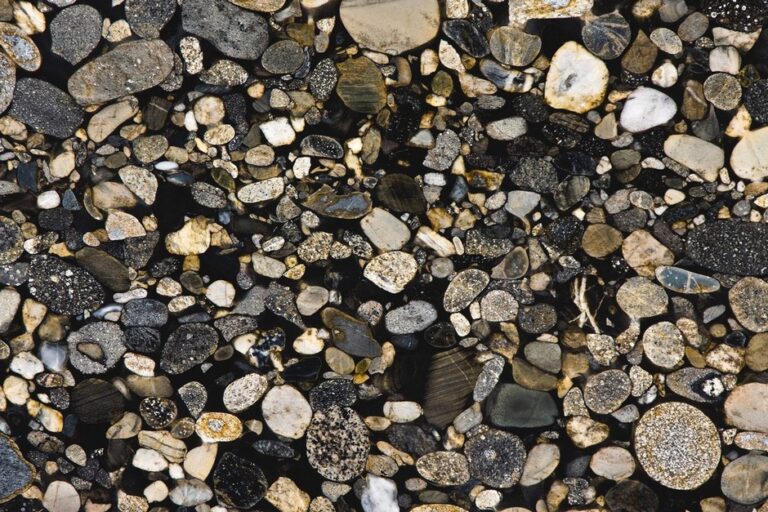 Marinace Black