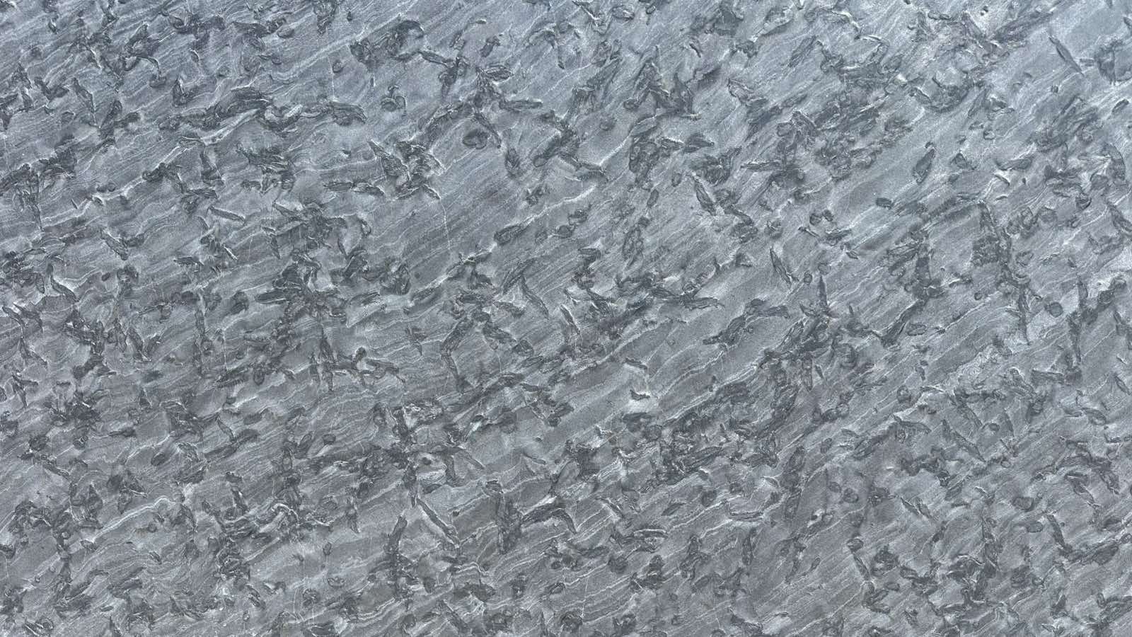 Matrix Mat
